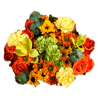 (QB) Arrangement Thanksgiving Flowers For Delivery to Toledo, Ohio