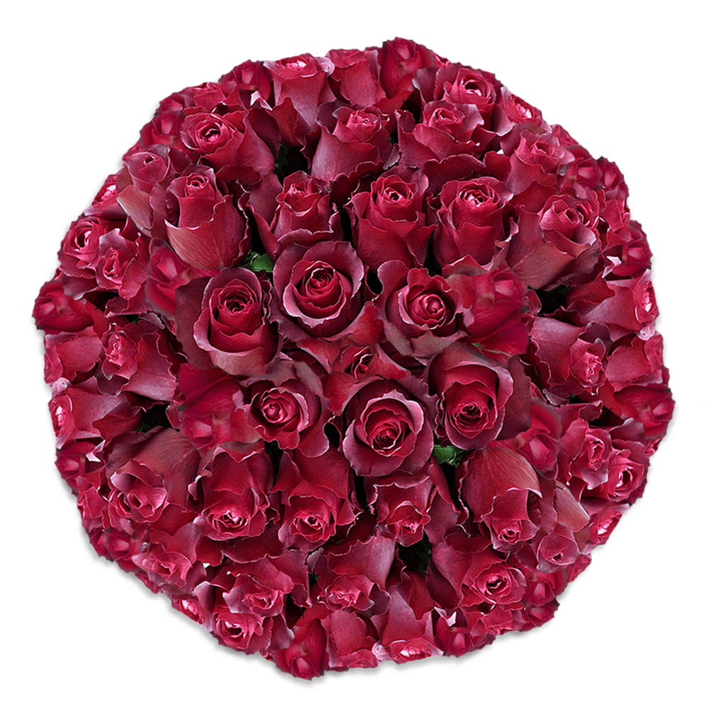 Terracota Wholesale Roses For Sale in Bulk Bridal Bouquets Roses