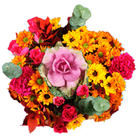 (OC) Thanksgiving Arrangement Changing Seasons 2 Bqt 2 Bouquets For Delivery to Leavenworth, Kansas