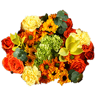(OC) Thanksgiving Arrangement Thank Flowers 2 Bqt 2 Bouquets For Delivery to West_Lafayette, Indiana