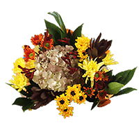 Arrangement Equinox Qty For Delivery to Tahlequah, Oklahoma