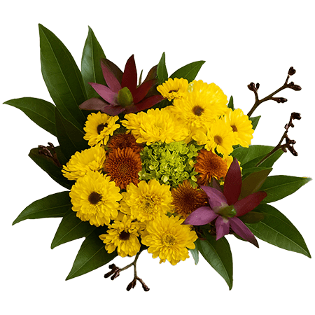 Choose Your Quantity of Equinox Arrangements