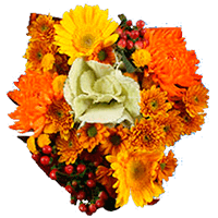 Arrangement Indian Summer Qty For Delivery to Howell, Michigan