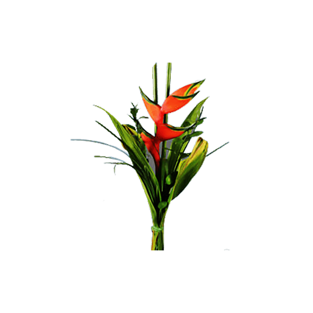 Arrangement Red Heliconia Qty For Delivery to Mountain_Home, Arkansas
