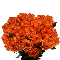 (OC) Dozen Long Orange Roses 2 Bunches For Delivery to Troy, New_York