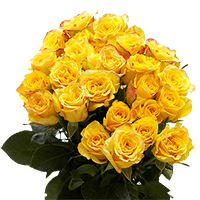 (OC) Dozen Long Yellow Roses 2 Bunches For Delivery to Daly_City, California