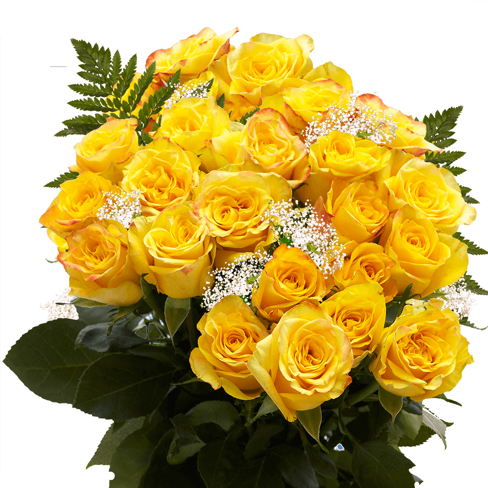 Two Dozen Yellow Valentine's Day Roses Free Delivery