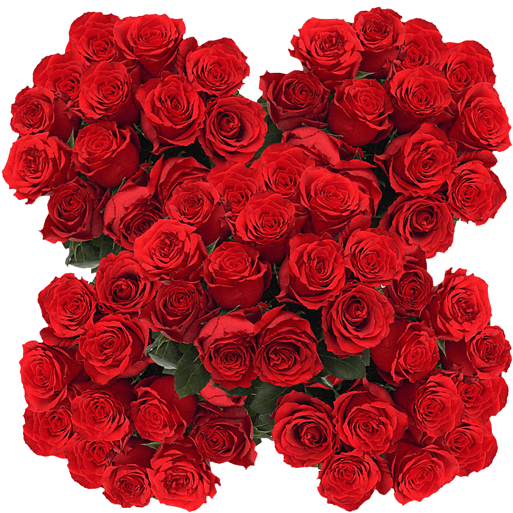 Undercover Red Roses Discount Prices Online