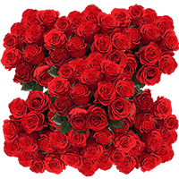 (HB) Rose Sht Undercover Red 10 Bunches For Delivery to Harlingen, Texas