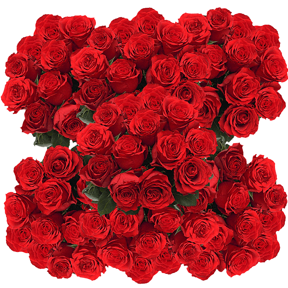 Undercover Red Roses Flowers For Sale