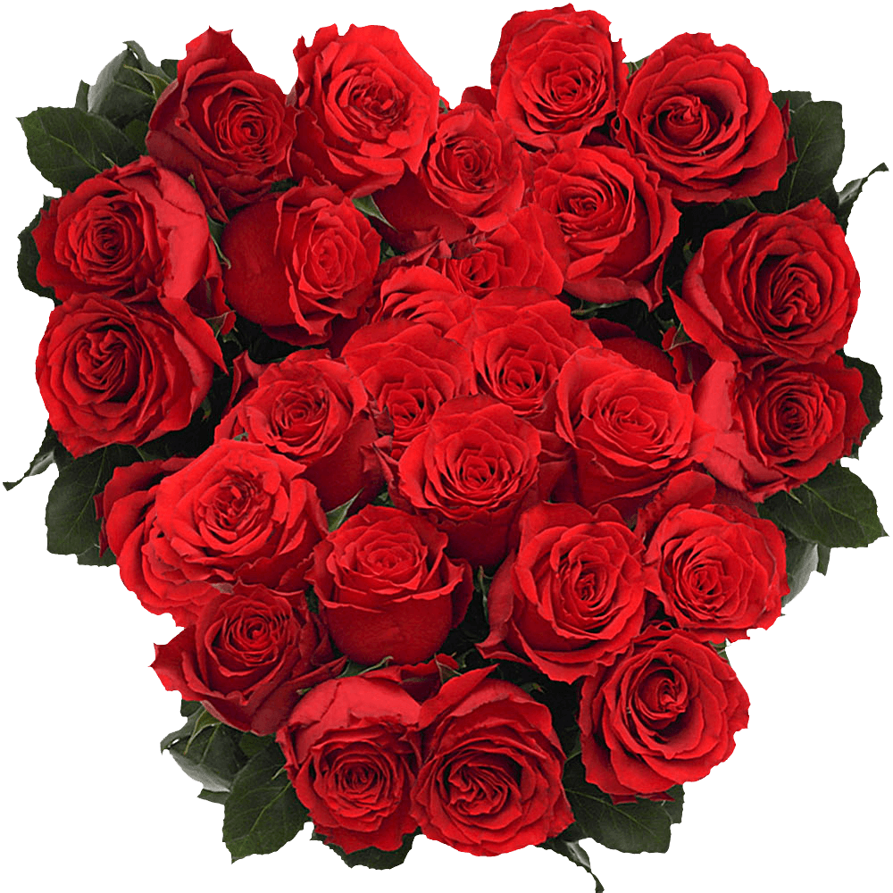 Undercover Red Roses For Sale Online