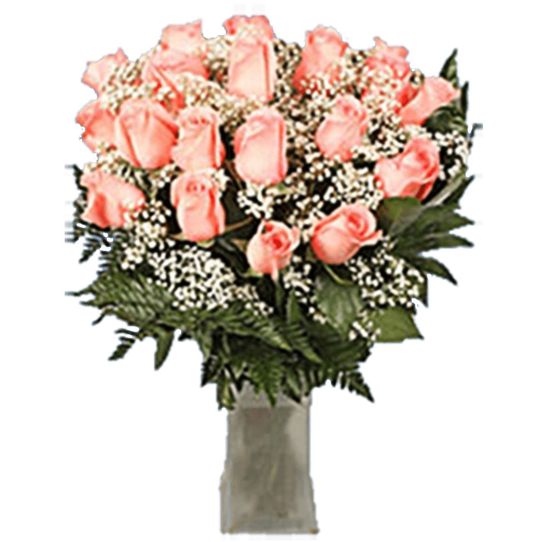 Valentine's Day Bouquet Blooming Love 24 Pink Roses Arrangement With Vase a total of 720 flowers