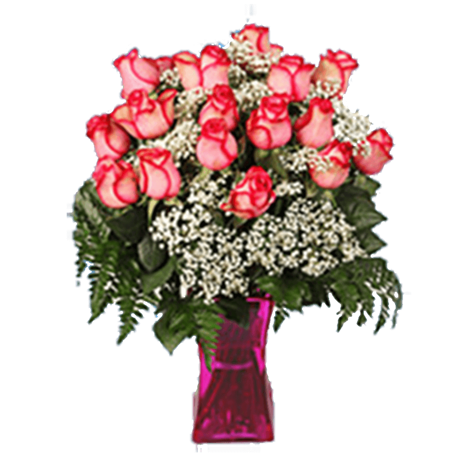 Valentine's Day Bouquet Fairytale Love 24 Bi Color Roses Arrangement With Vase a total of 30 flowers
