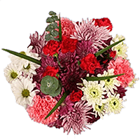 (QB) Bqt Sweet Thoughts Bqt 8 Bouquets For Delivery to New_York