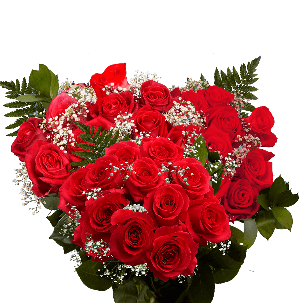 Valentine's Day Dozen Red Roses
