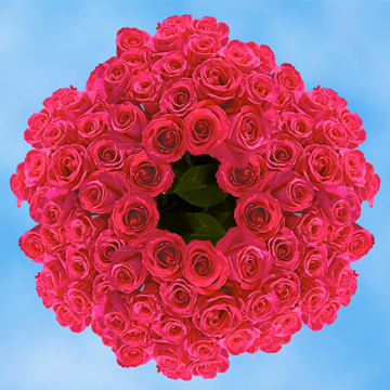 (OC-HB) Qty of Valentines Day Roses