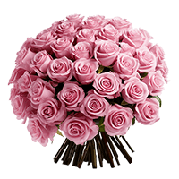 Qty of Valentines Day Pink Roses For Delivery to Moline, Illinois