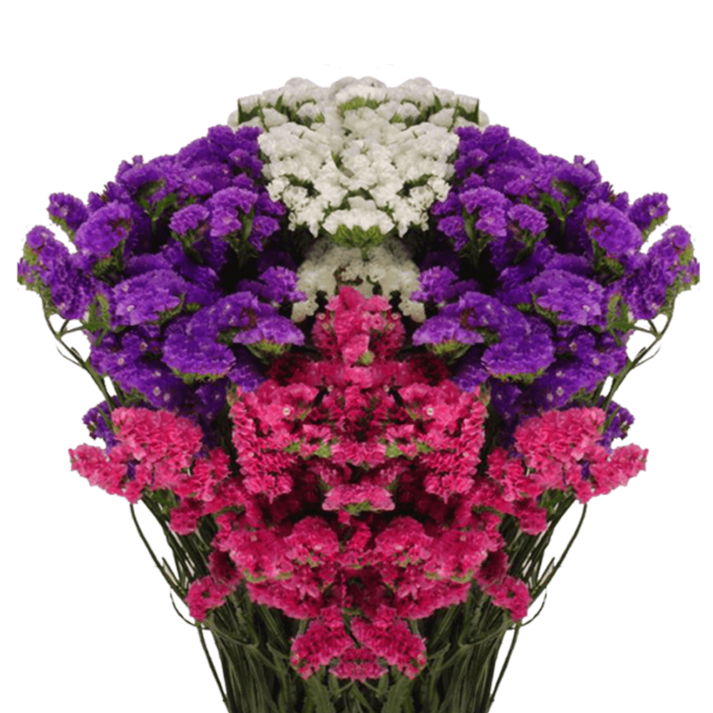 Vibrant Assorted Statice Flowers