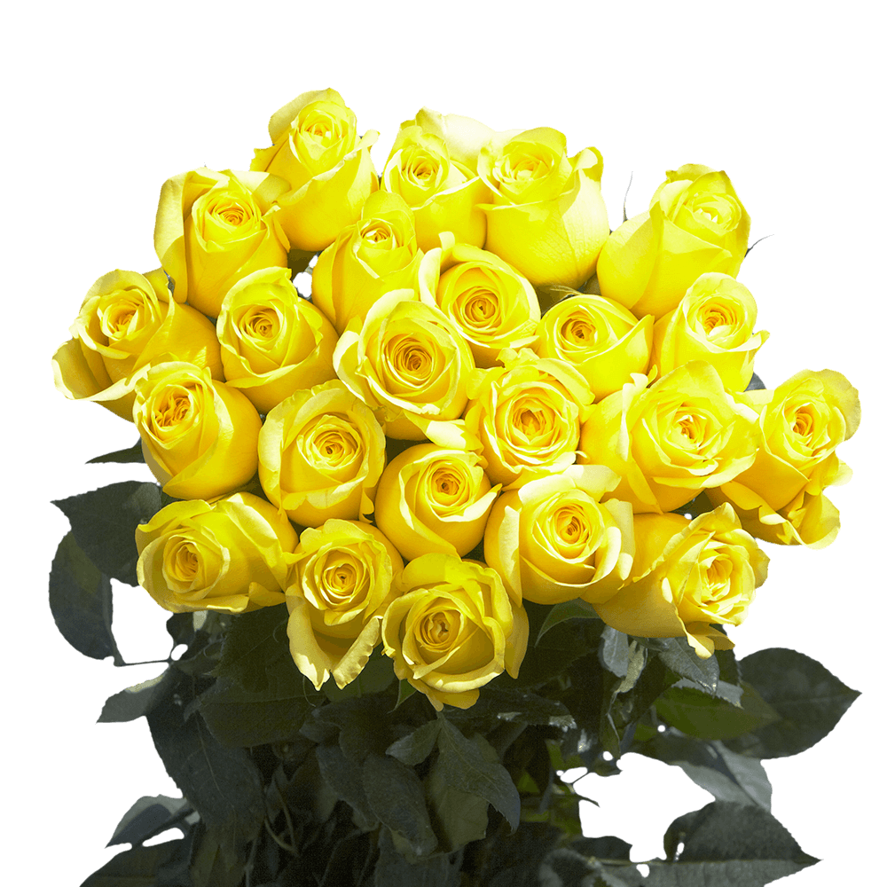 Vibrant Lemon Yellow Roses