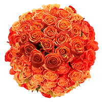 Rose Sht Orange (QB) [Include Flower Food] (OM) For Delivery to Tahlequah, Oklahoma