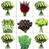 (HB) WC D.I.Y. Lovely: Bells Of Ireland 6, SnapDragon Burgundy 6, Hydrangeas Green 130, Green