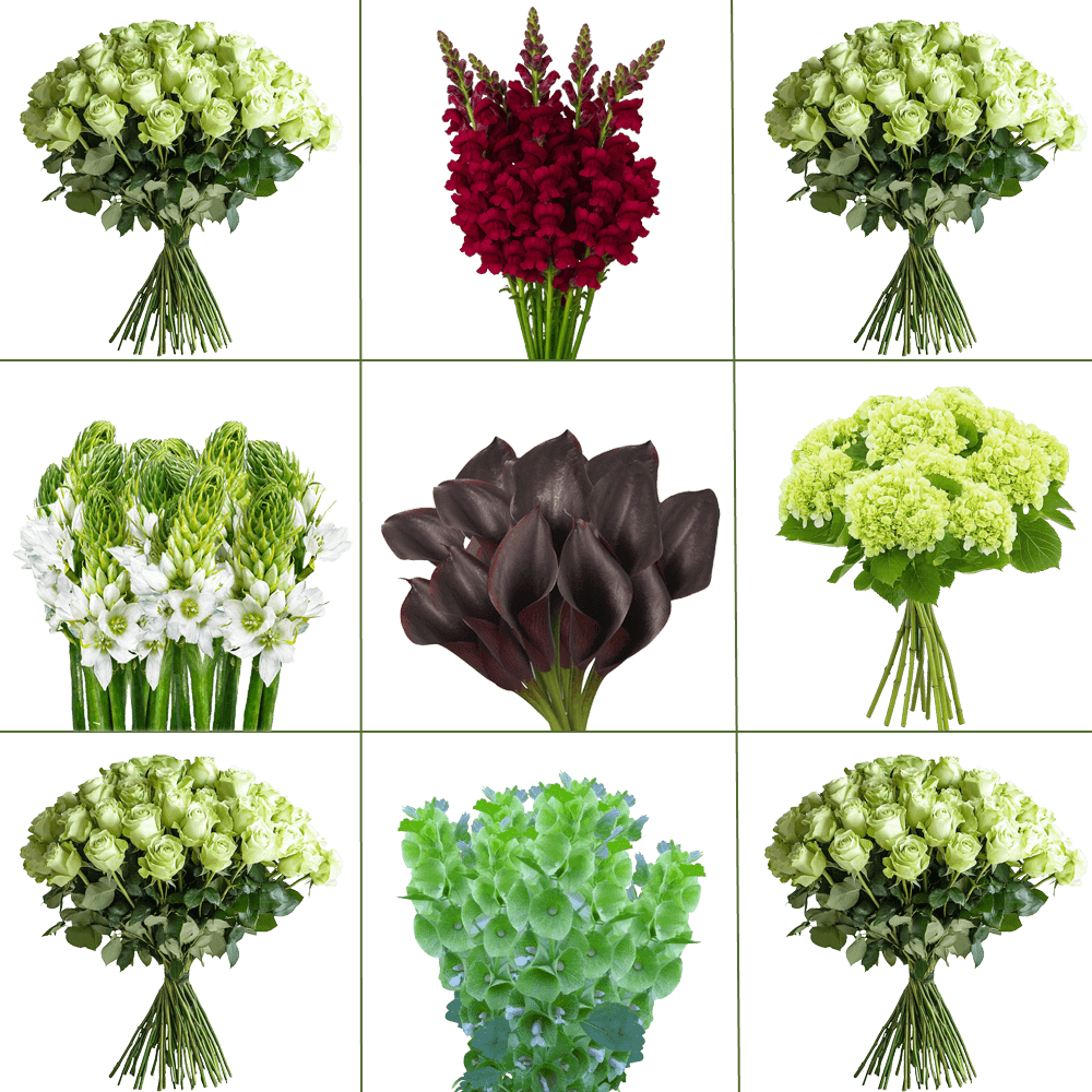 (HB) WC D.I.Y. Lovely: Bells Of Ireland 6, SnapDragon Burgundy 6, Hydrangeas Green 130, Green