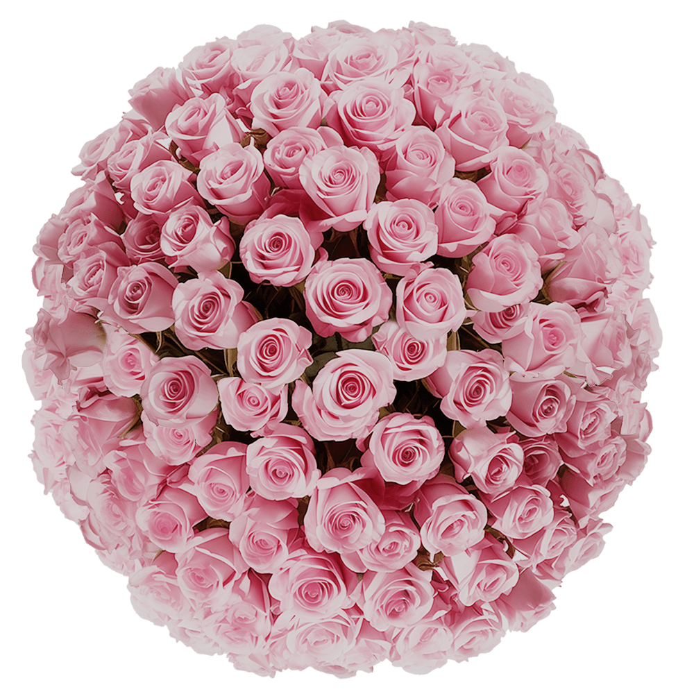 Wedding Pink Roses