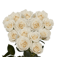 (HB) Spray Roses Sht White 20 Bunches For Delivery to New_Hampshire