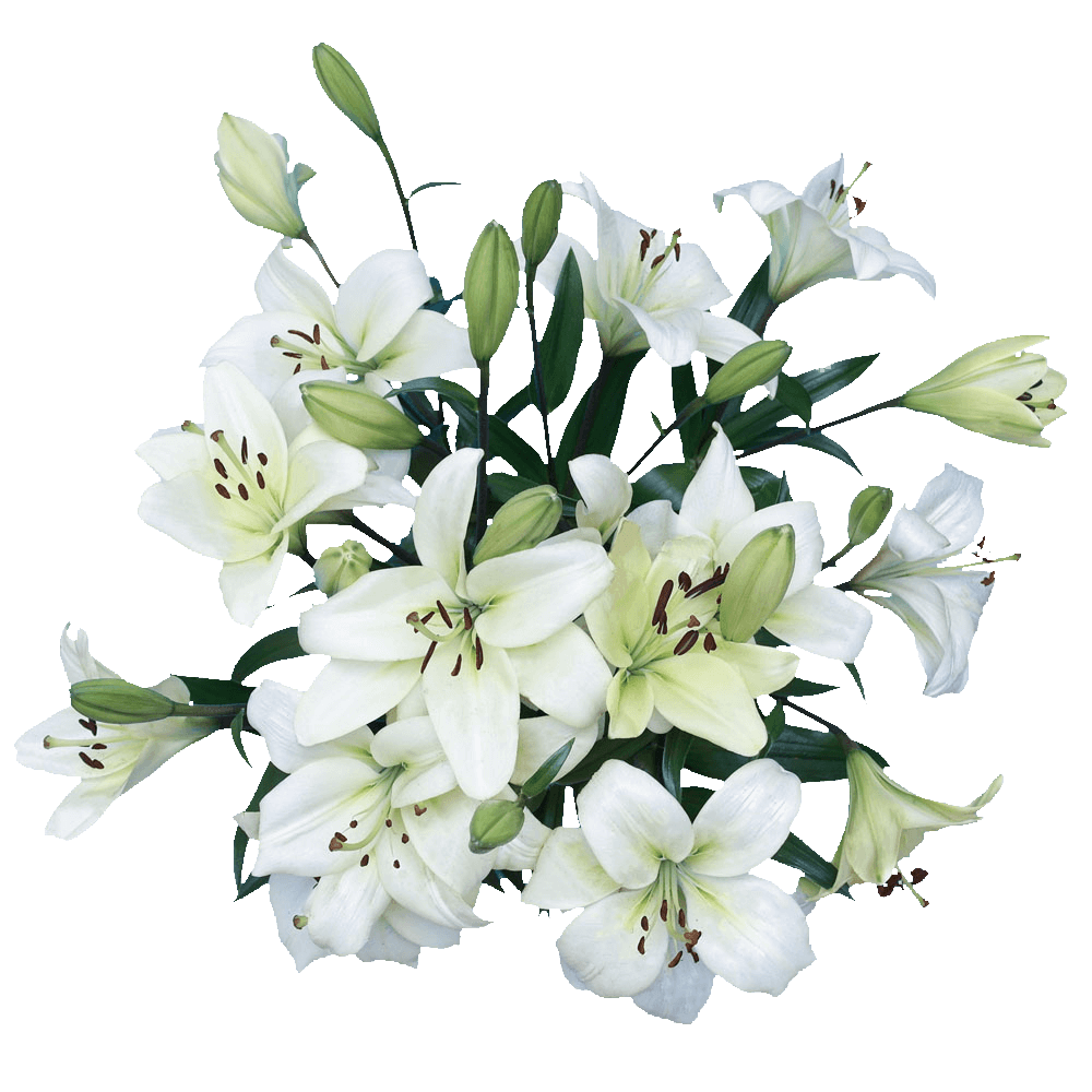 White Asiatic Lilies Wedding Flowers