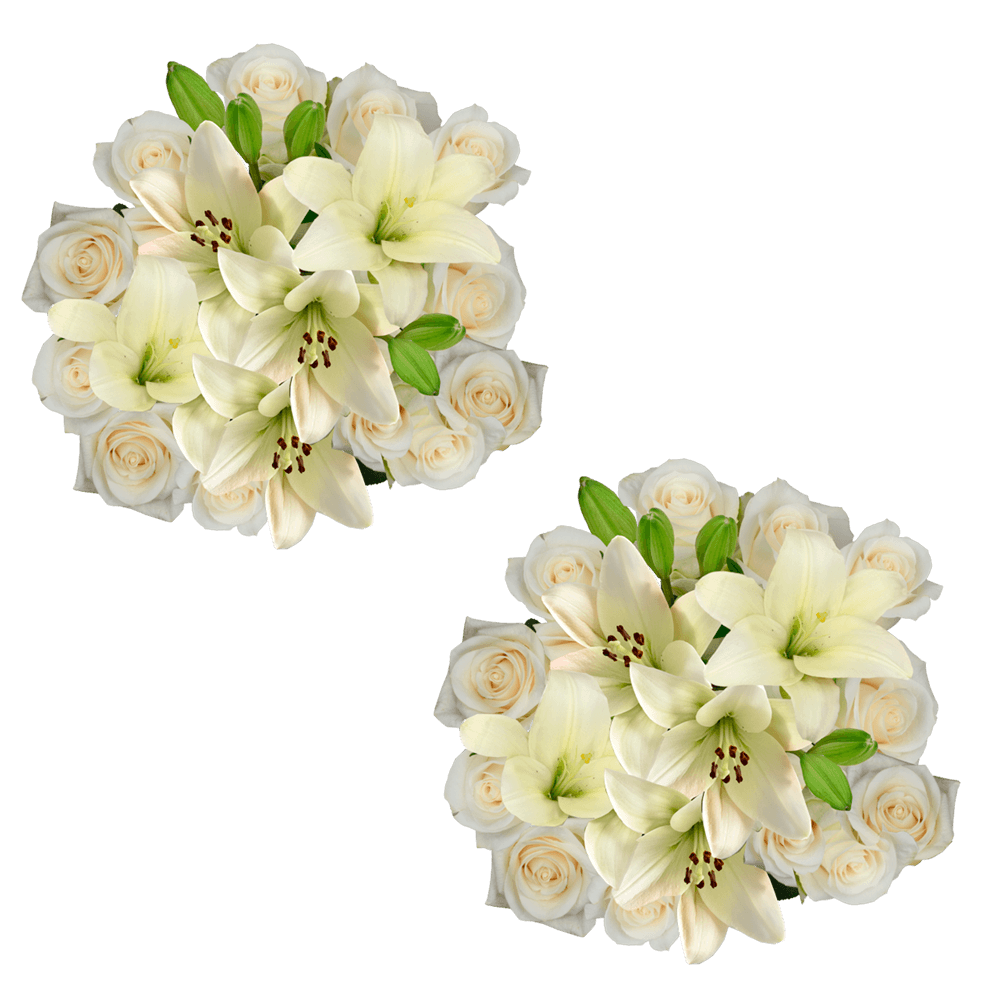 Spectacular Bqt White Qty For Delivery to Faqs.Html, Maryland
