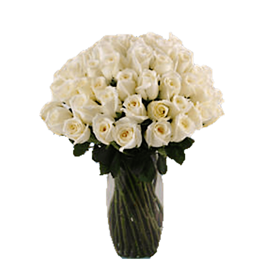 White Flowers Arrangements White Roses with Vase