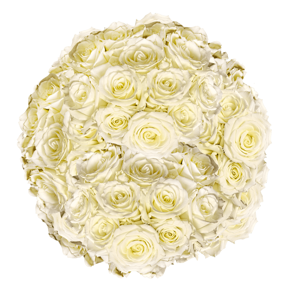 White Online Roses