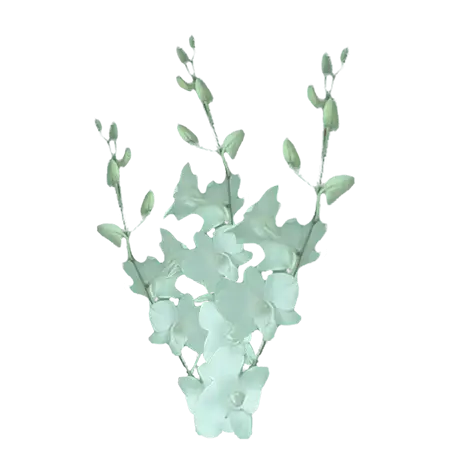 White-Malie