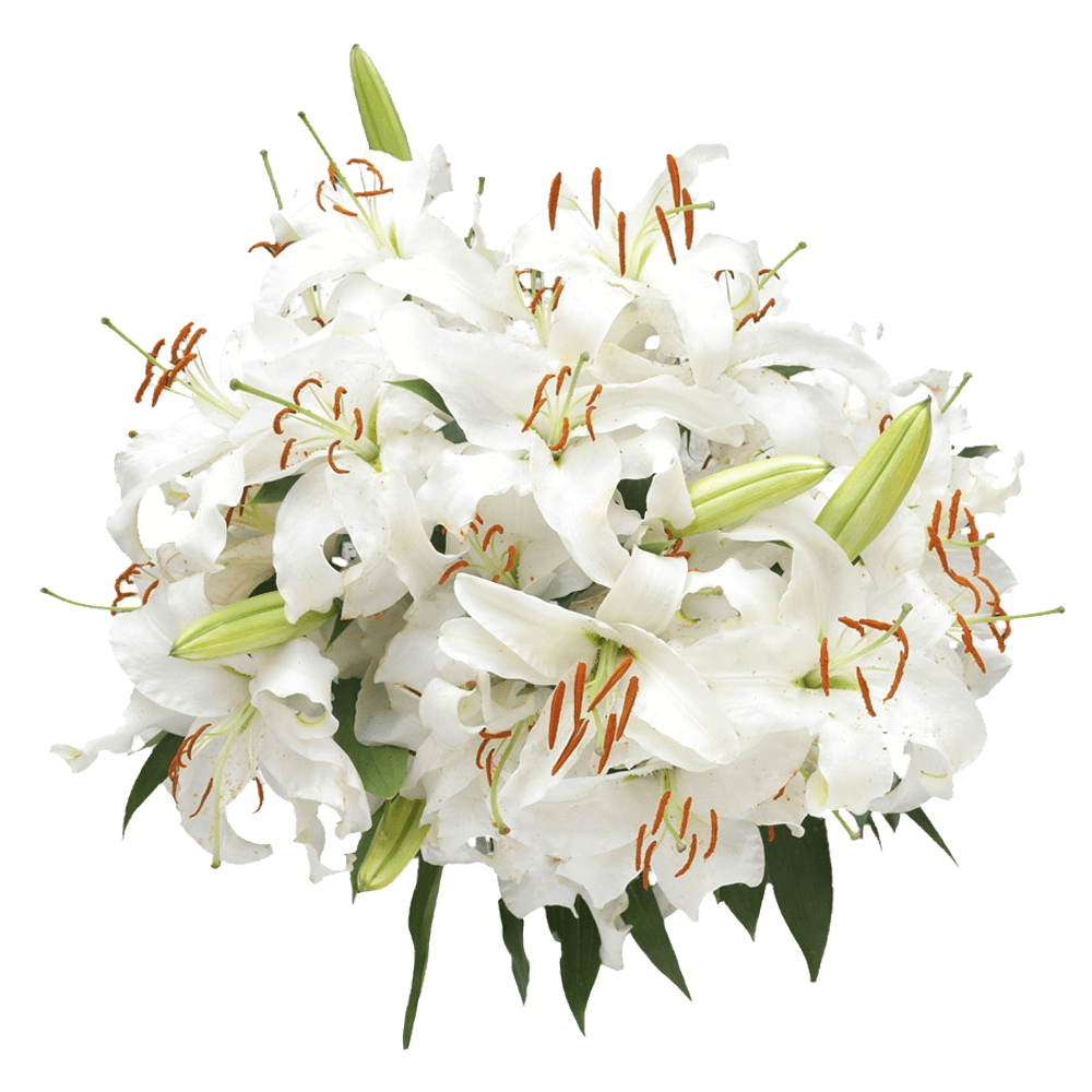 White Oriental Lilies Flower Bouquet