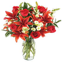 (OC) Red Passion 24 Flowers With Vase For Delivery to Meadville, Pennsylvania