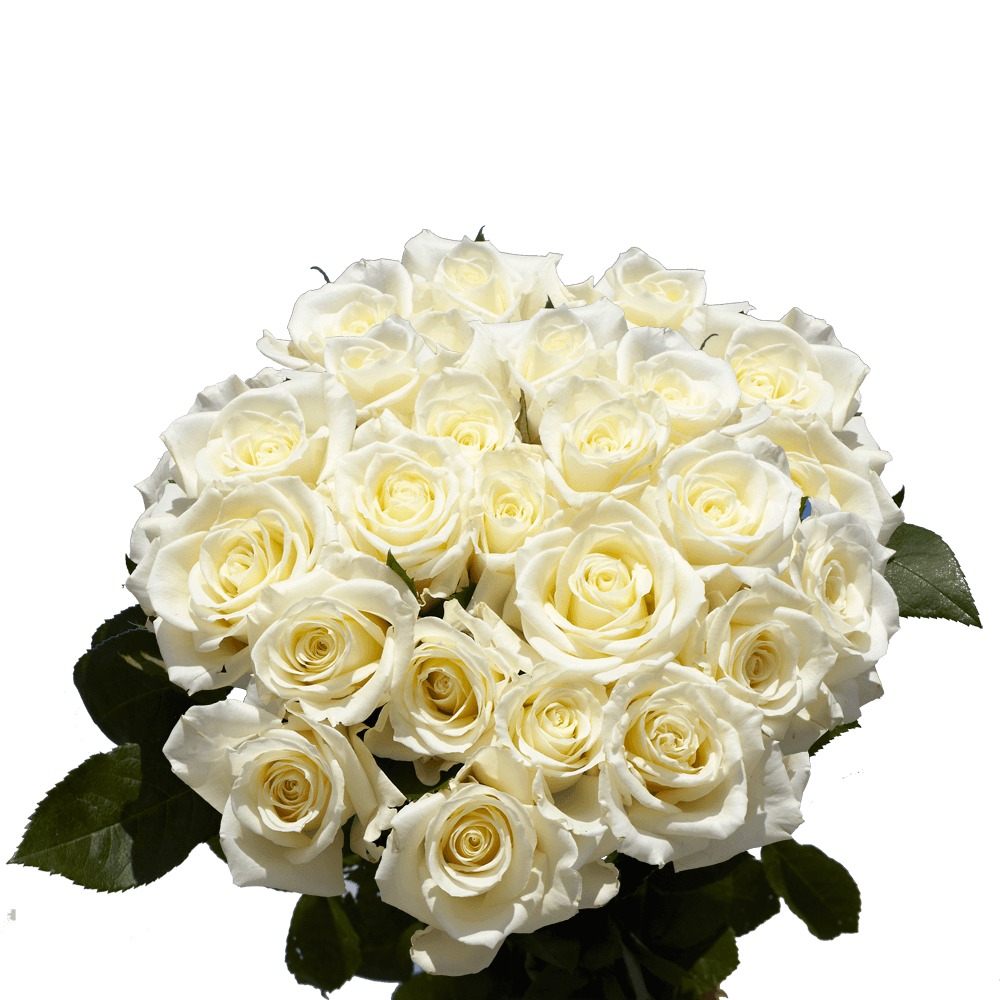 White Roses Flower Bouquets For Mother's Day