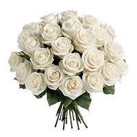 (OC) Rose Sht White 2 Bunches For Delivery to Mchenry, Illinois