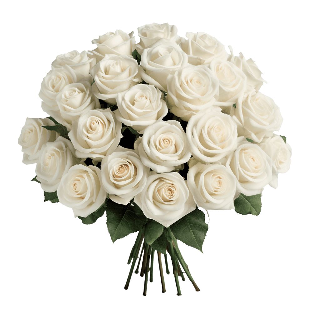 White Roses For Birthday
