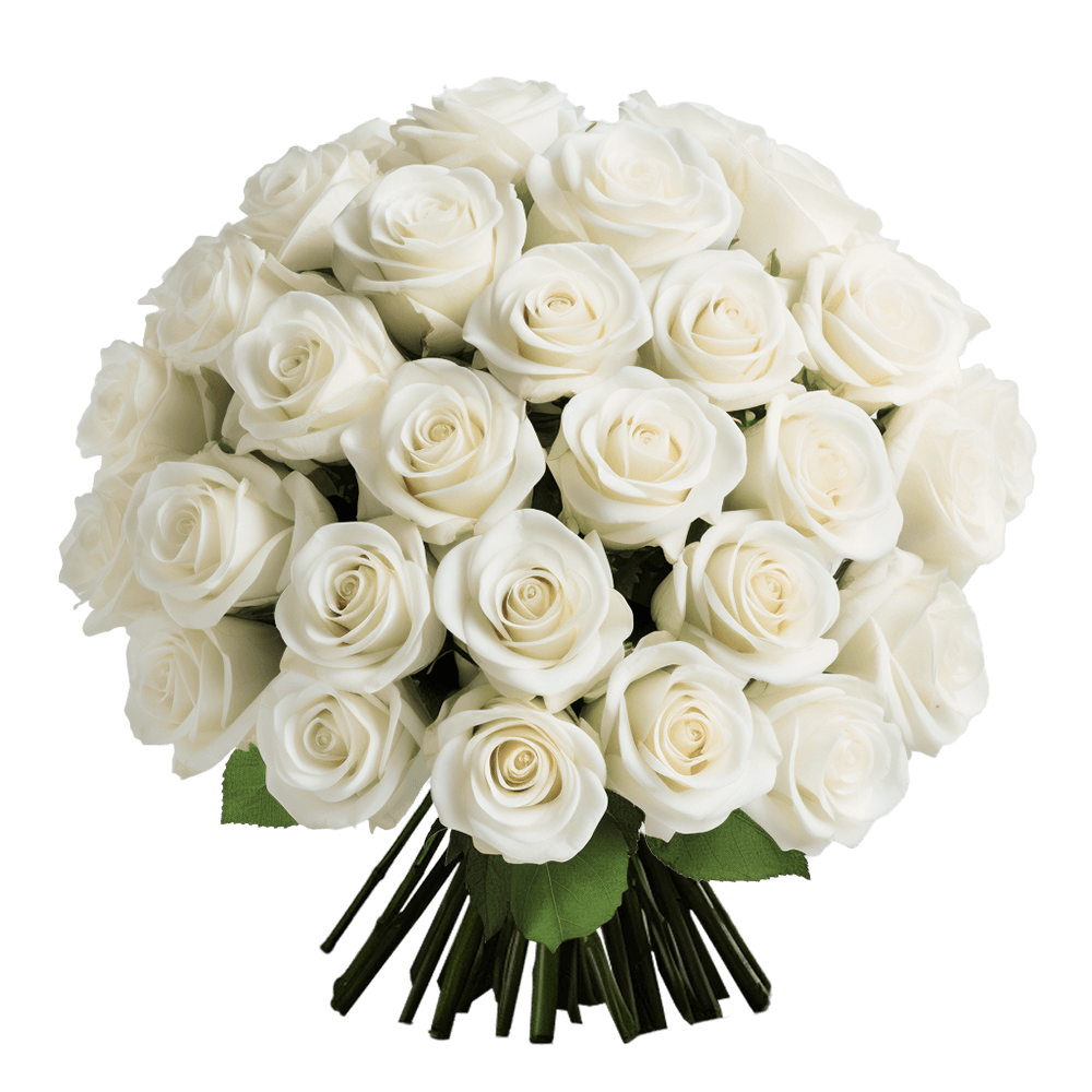 White Roses For Mothers Day