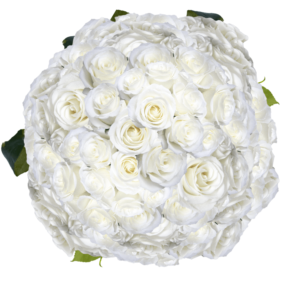 White Roses Free Valentine's Day Delivery