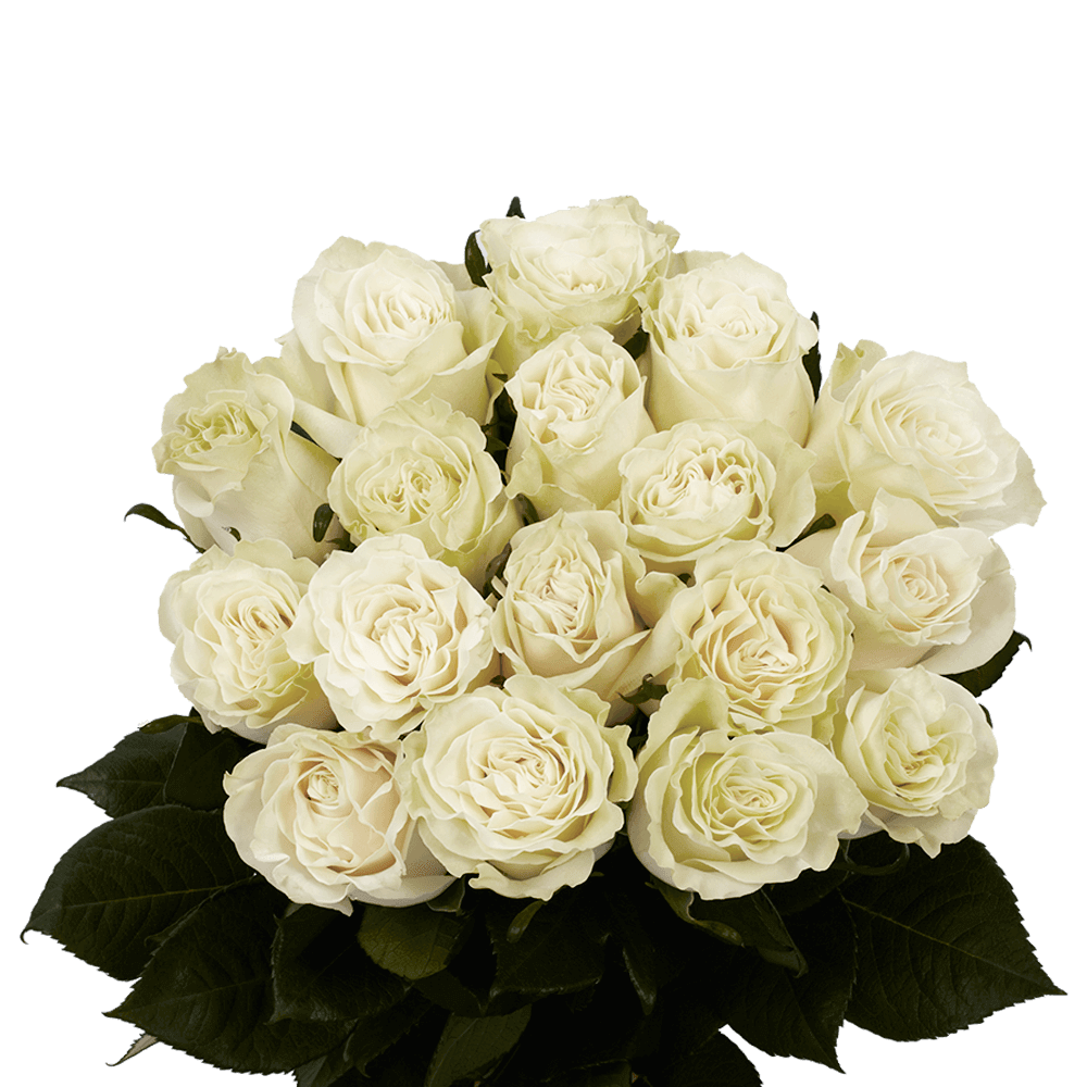 Market Flowers - Flower tip: White vs Ivory We get questions about