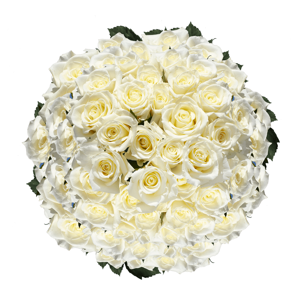 White Roses Mother's Day Flower Specials Free Shipping