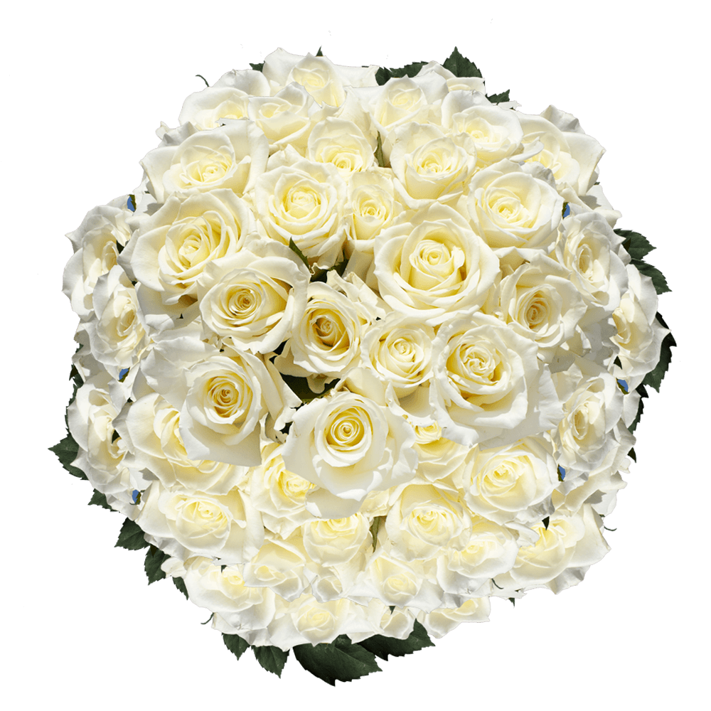 White Roses Mother's Day Flowers Delivery