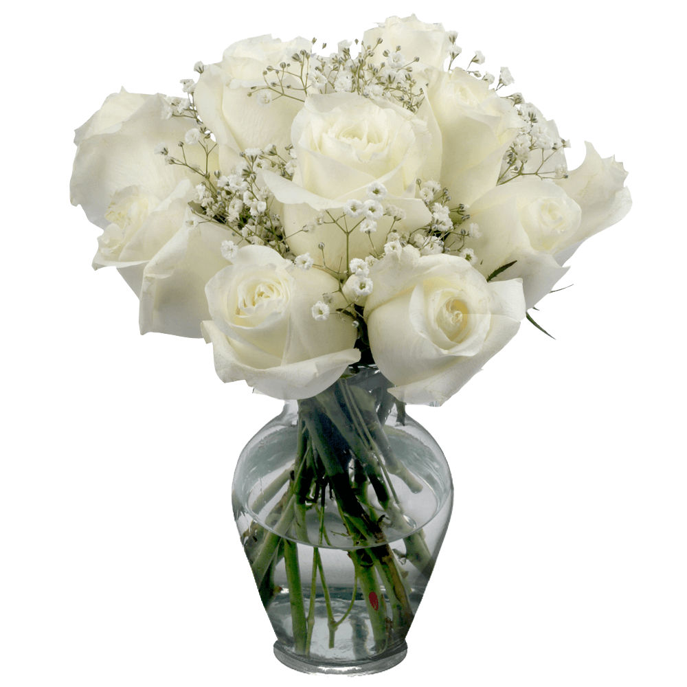 White Roses Babys Breath Floral Arrangements