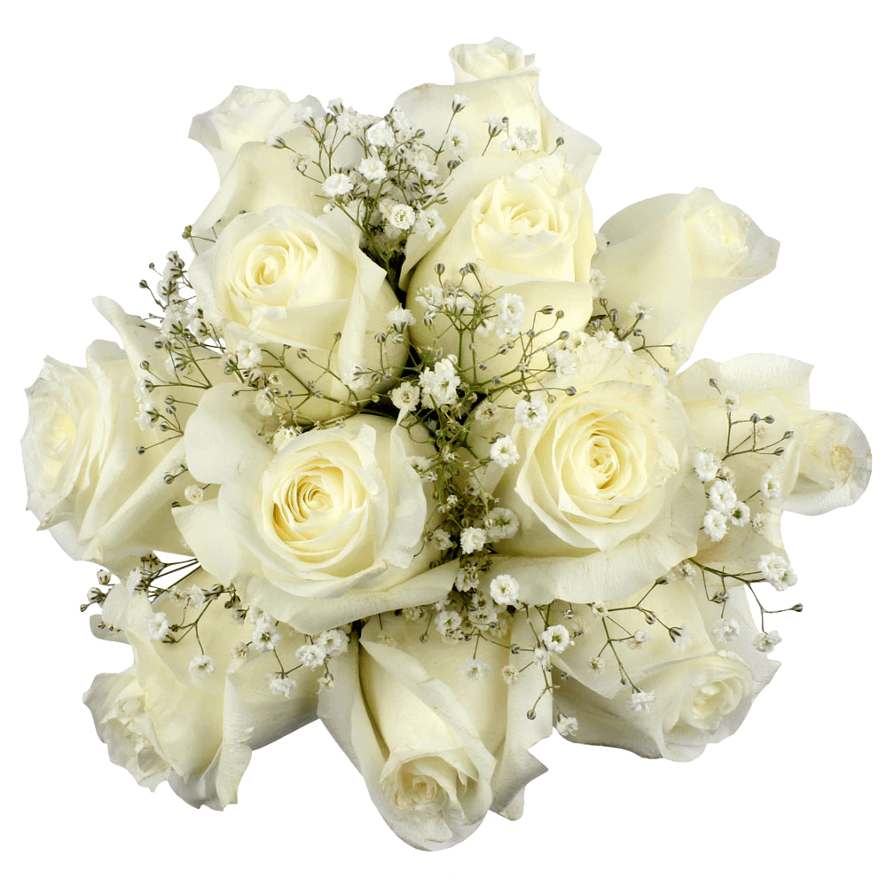 White Roses with Babys Breath Floral Arrangements