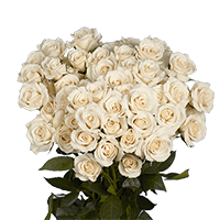 Qty of White Spray Roses For Delivery to Petoskey, Michigan