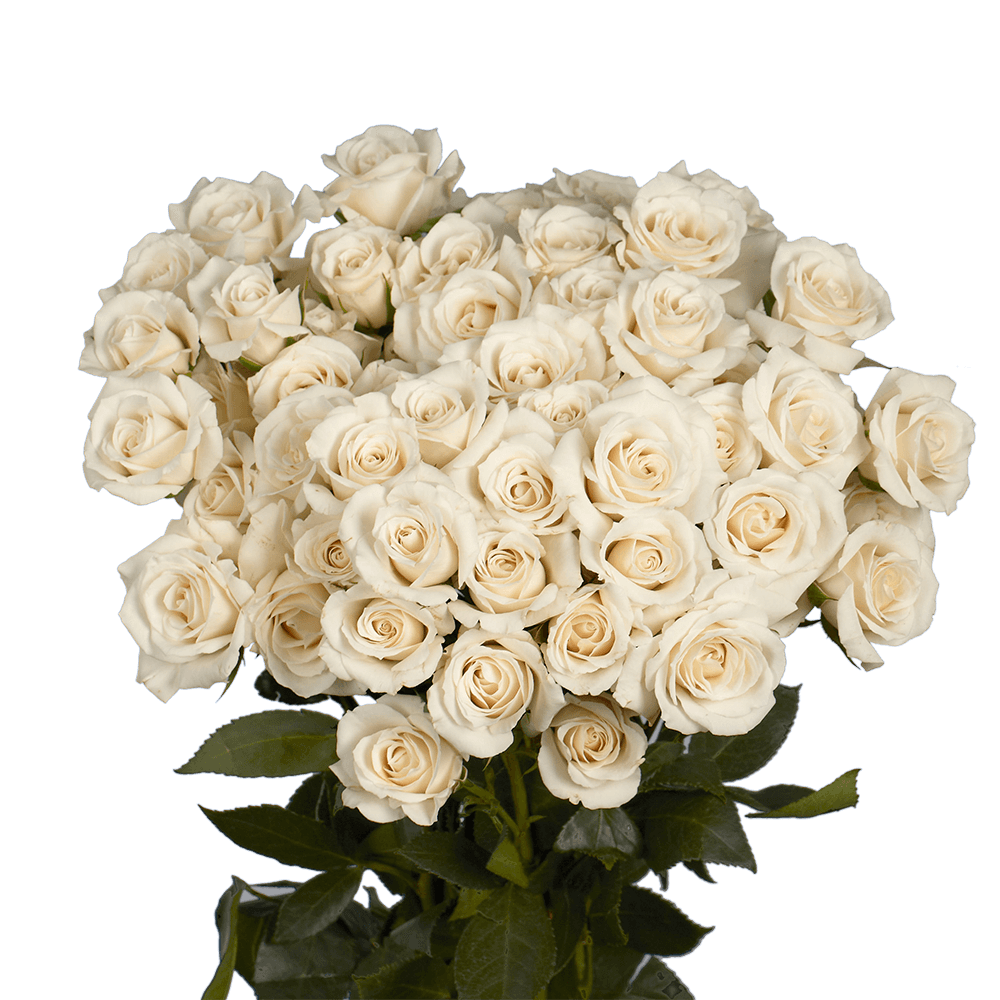 White/Cream Spray Roses - Wedding Bouquets for Bridesmaids