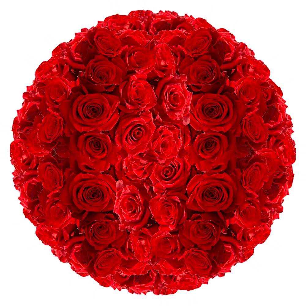 Whole Red Roses for Sale
