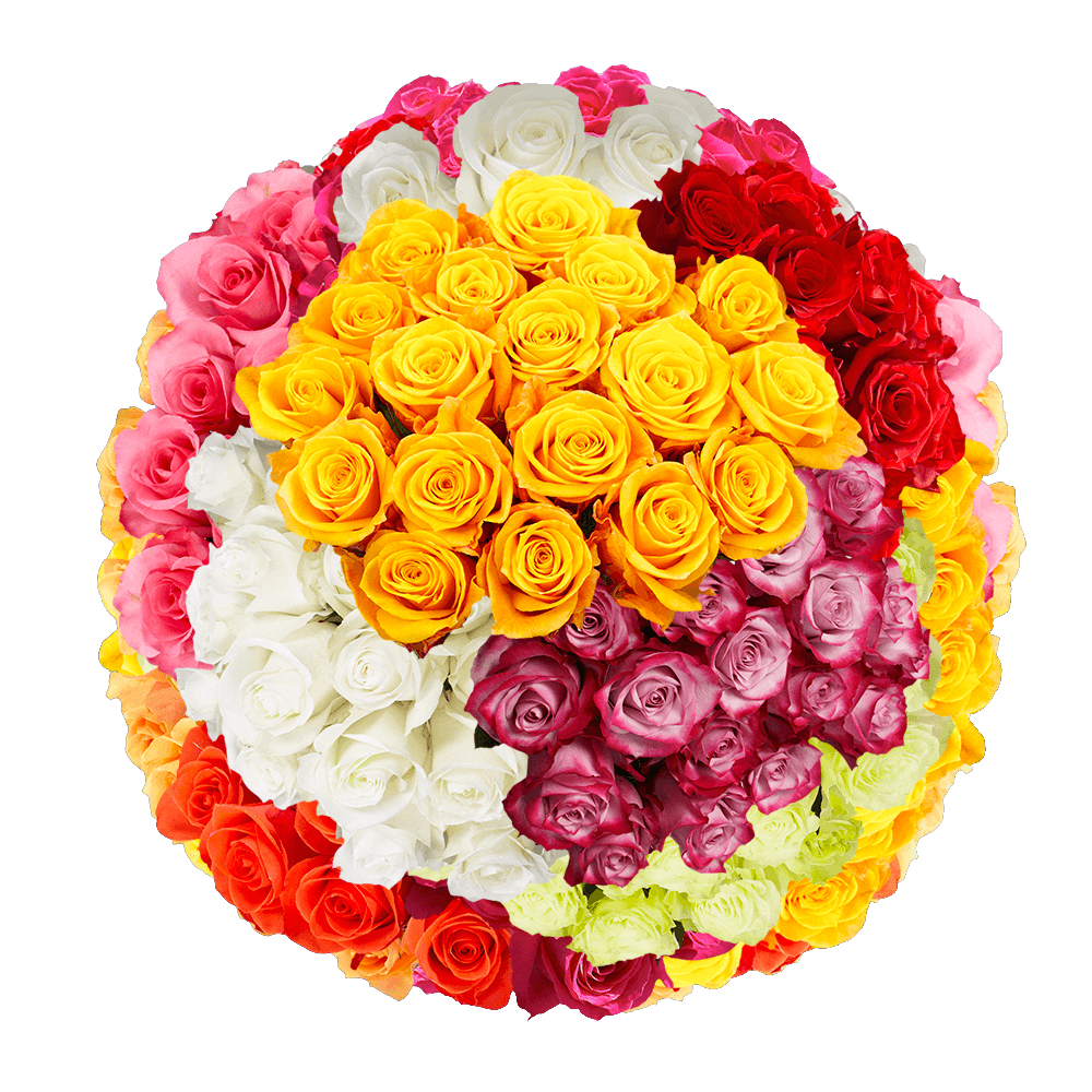 Wholesale 100 Roses 4 Colors Flowers Online