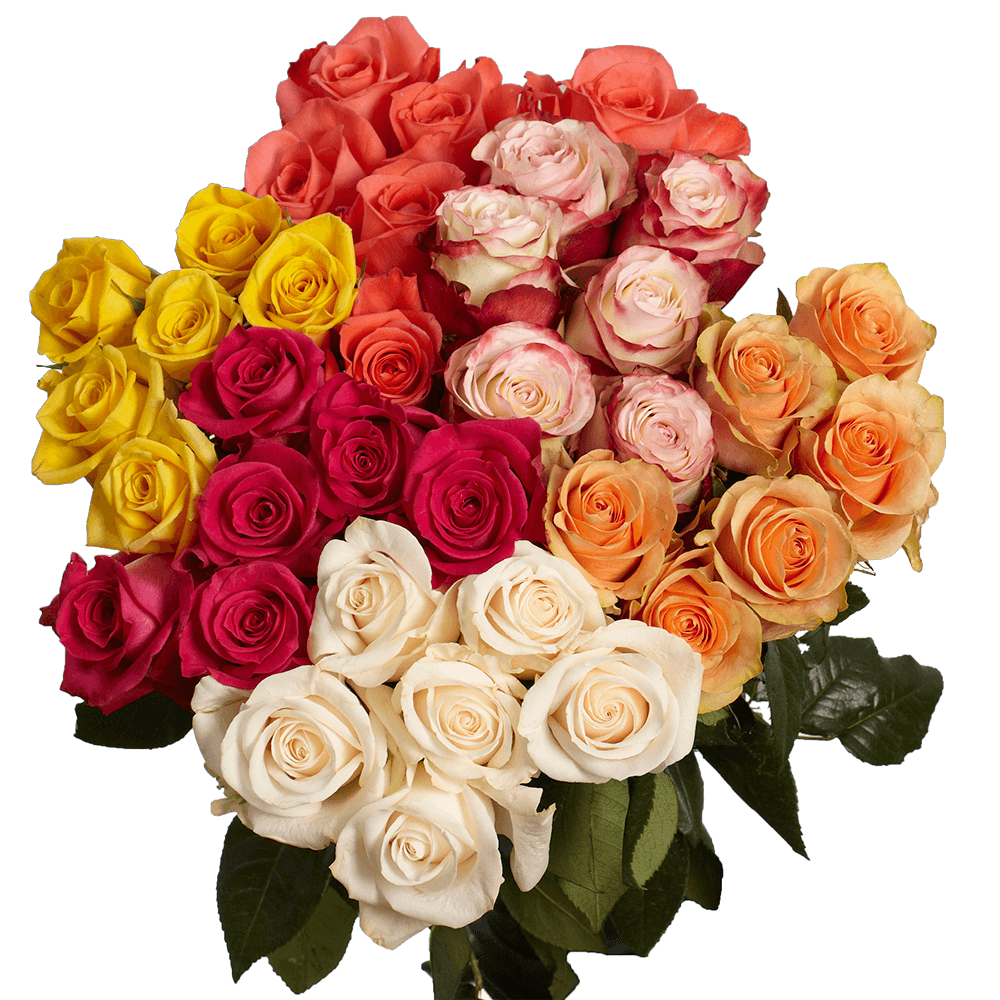 Wholesale Flowers 100 Roses 4 Bunches Different Colors | GlobalRose